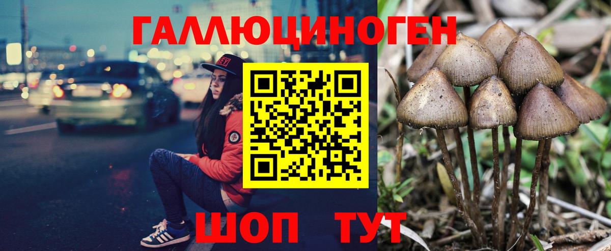 Дятьково  как найти закладки  Вход с VPN  Псилоцибиновые грибы Magic Shrooms 